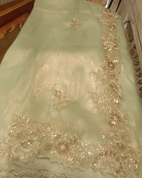 Tissue Silk Saree Hand Work