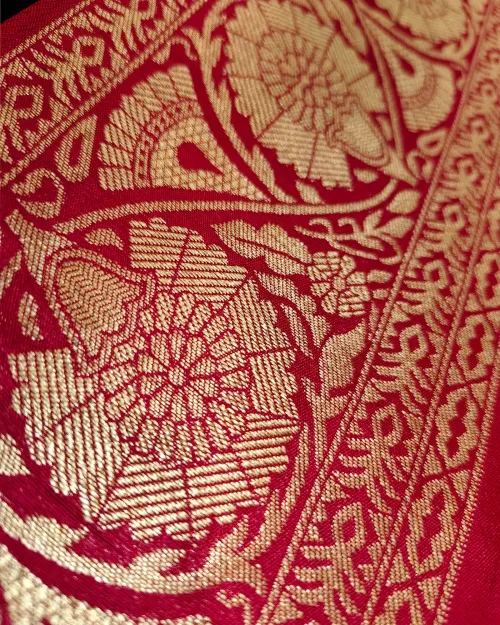 Rani Zari Work Dola Silk Saree