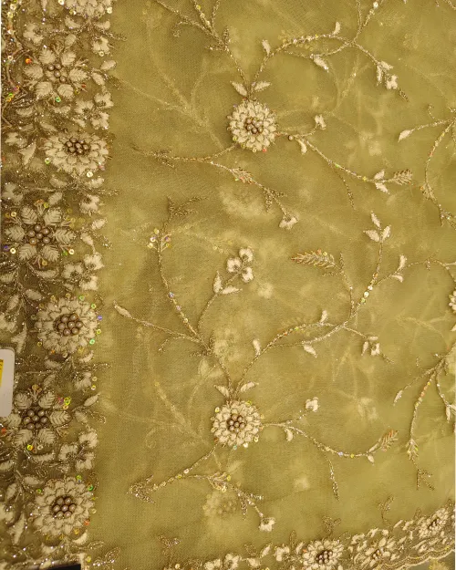 Light Green Silver Thread Full Jaal Work Net Saree