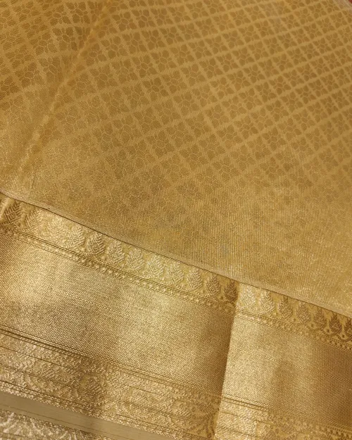 Golden Zari Work Organza Saree