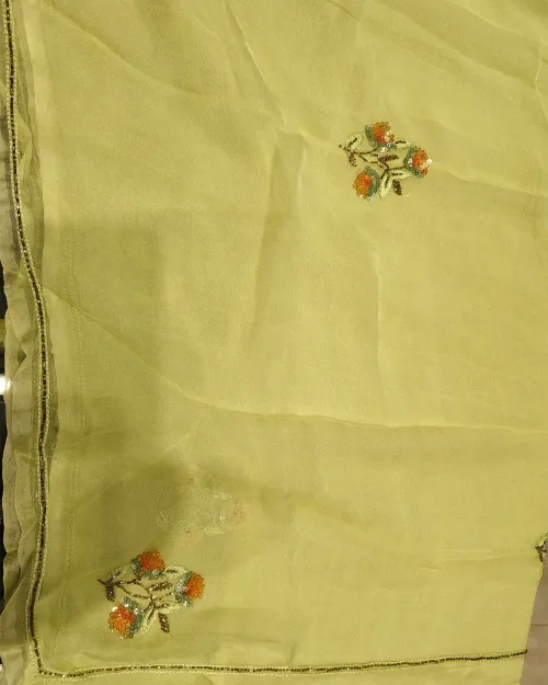 Pista Green Stone Work Chiffon Saree