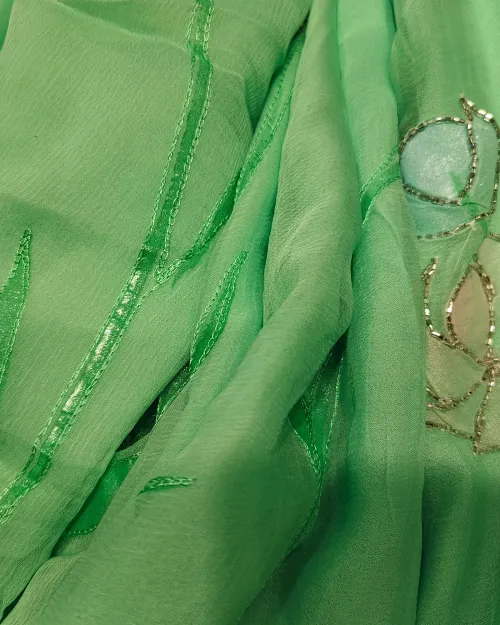 Light Green Zari Work Chiffon Saree