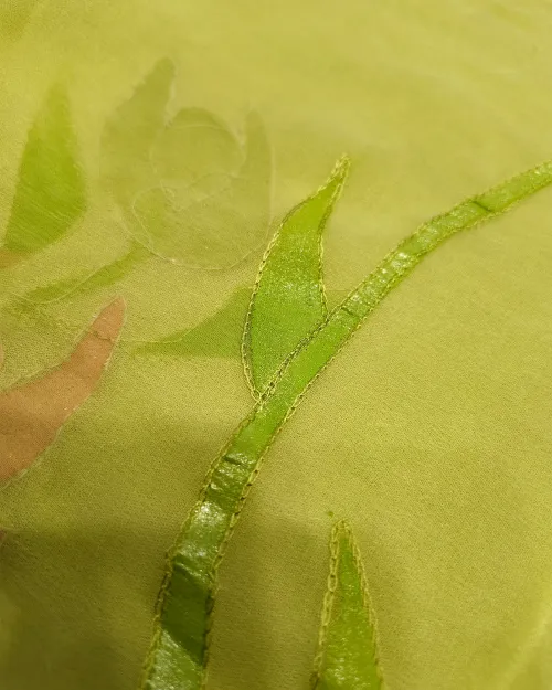 Green Zari Work Chiffon Saree