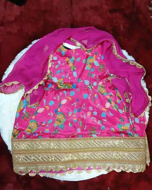 Rani Color Kids Anarkali Suit with Multicolor Style and Heavy Border