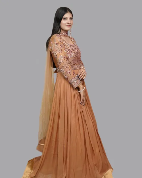 Rest Color Pure Georgette Stone Work Gown