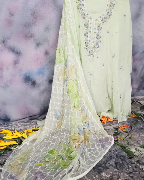 Light Green Embroidery & Stone Work Suit