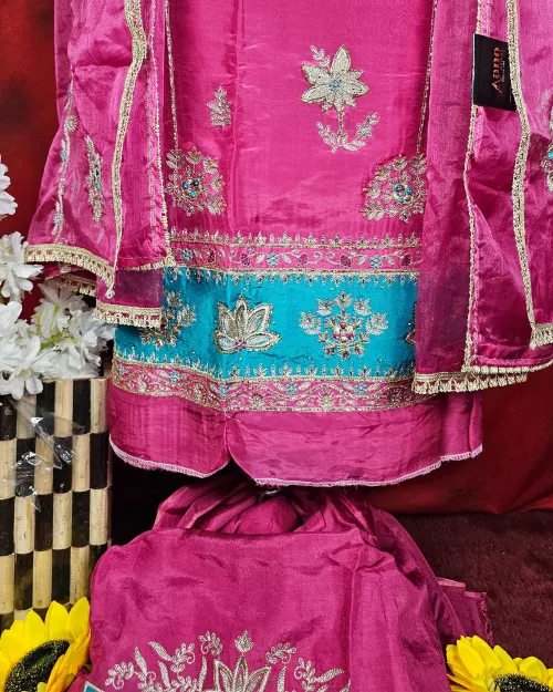 Rani Colour Organza Unstitched Salwar Suit Set