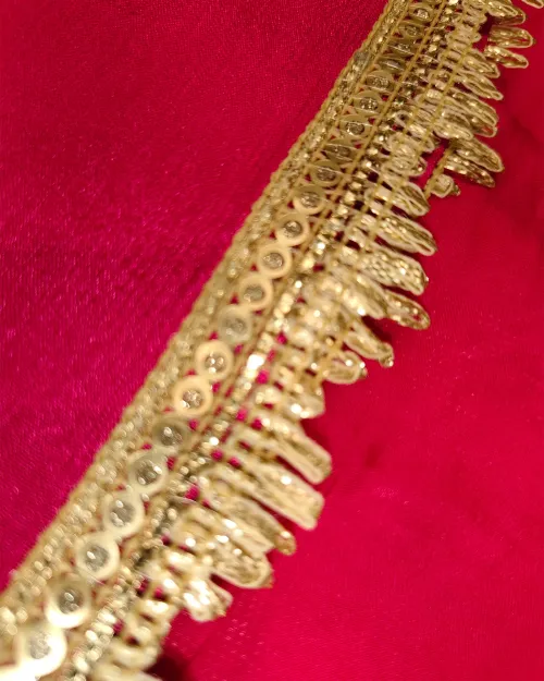 Rani Color Organza Unstitched Salwar Suit Set