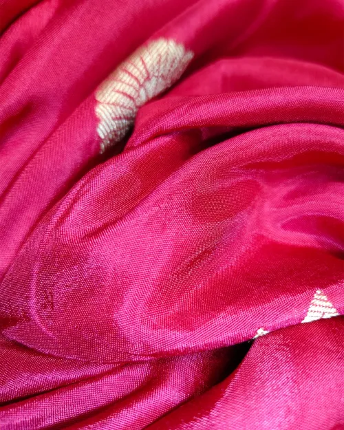 Rani Zari Work Dola Silk Saree