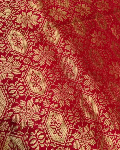 Rani Zari Work Dola Silk Saree