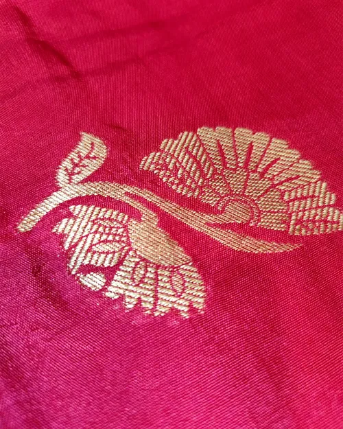 Rani Zari Work Dola Silk Saree