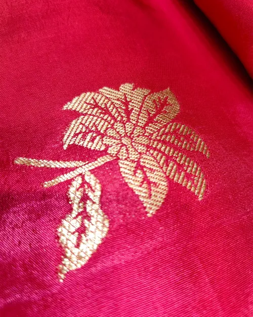 Rani Zari Work Dola Silk Saree