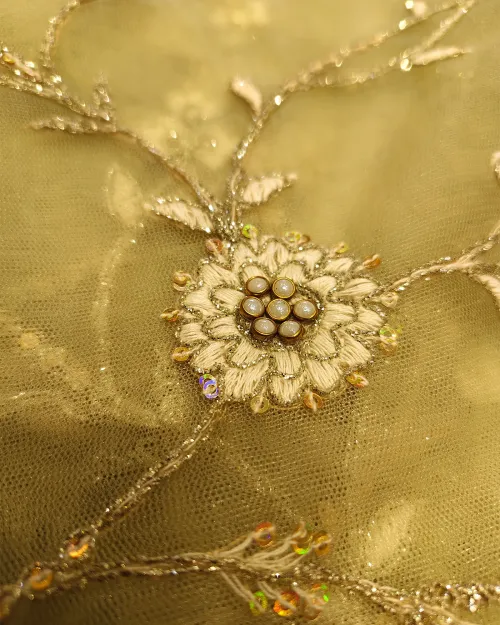 Light Green Silver Thread Full Jaal Work Net Saree