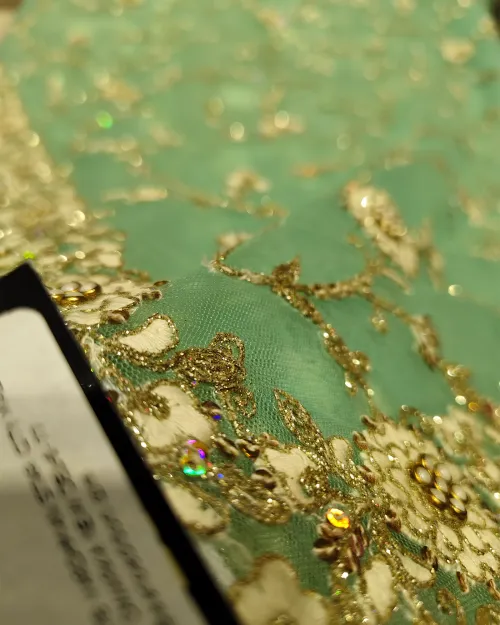 Ice Blue Silver Thread Net Saree