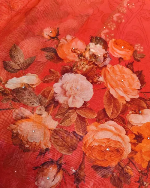 Gajari Red Stone Work Organza Saree