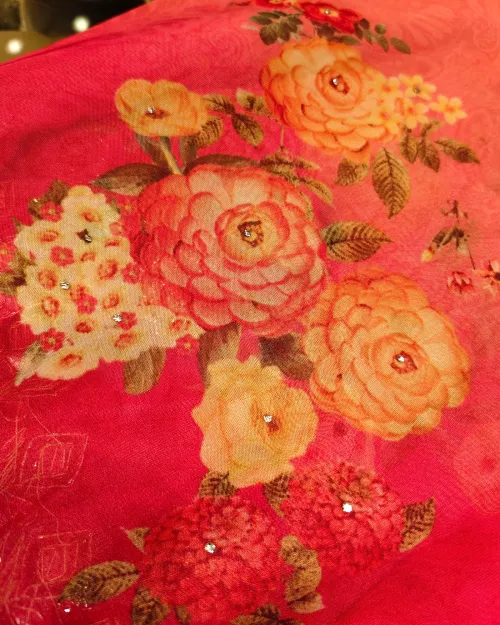 Gajari Red Colour Stone Work Organza Saree