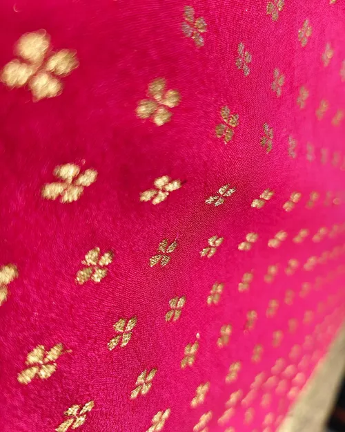 Rani Color Zari Work Dola Silk Saree