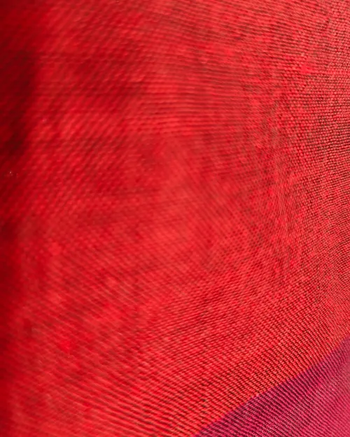 Multi Color Raw Cotton Casual Wear Saree