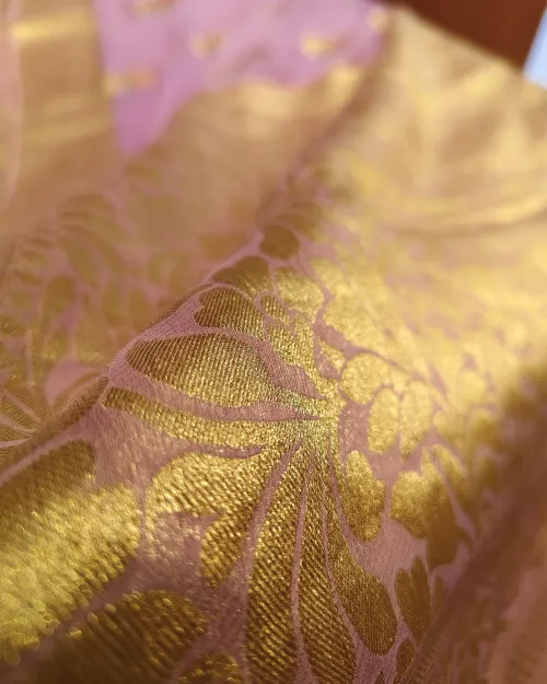Move Zari Work Chiffon Saree