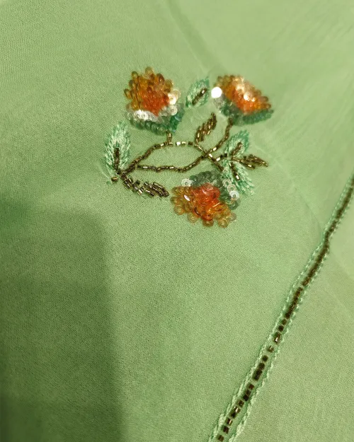 Light Green Stone Work Chiffon Saree
