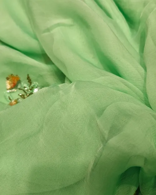 Light Green Stone Work Chiffon Saree