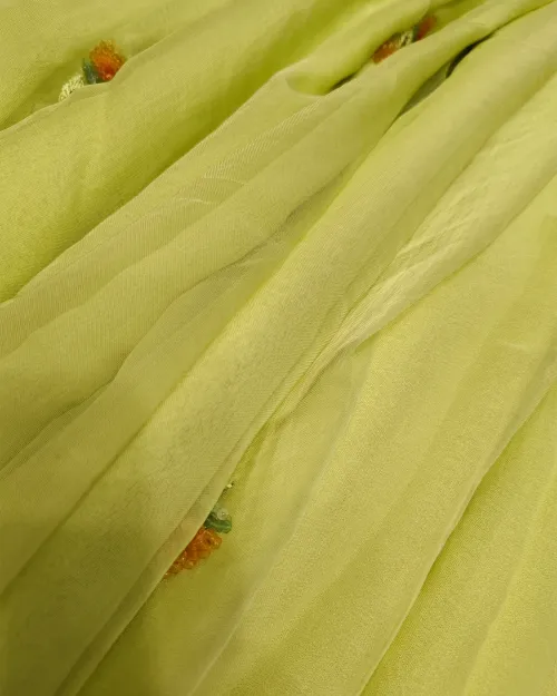 Pista Green Stone Work Chiffon Saree