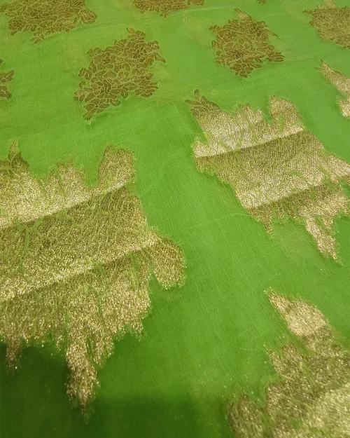 Light Green Zari Work Chiffon Saree