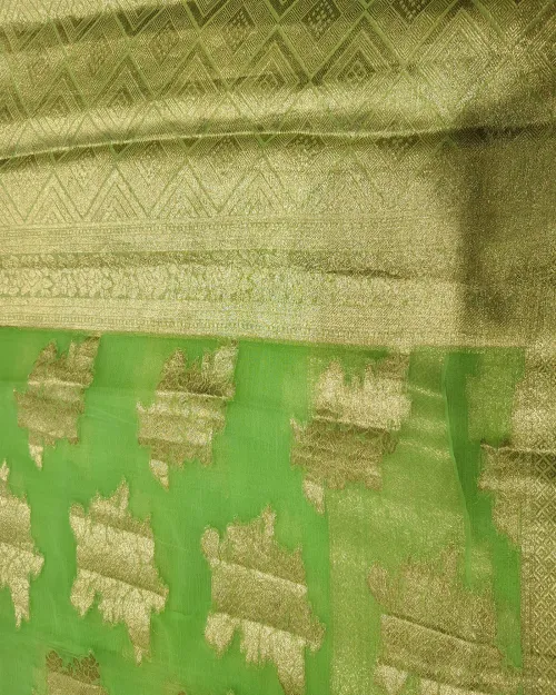 Light Green Zari Work Chiffon Saree