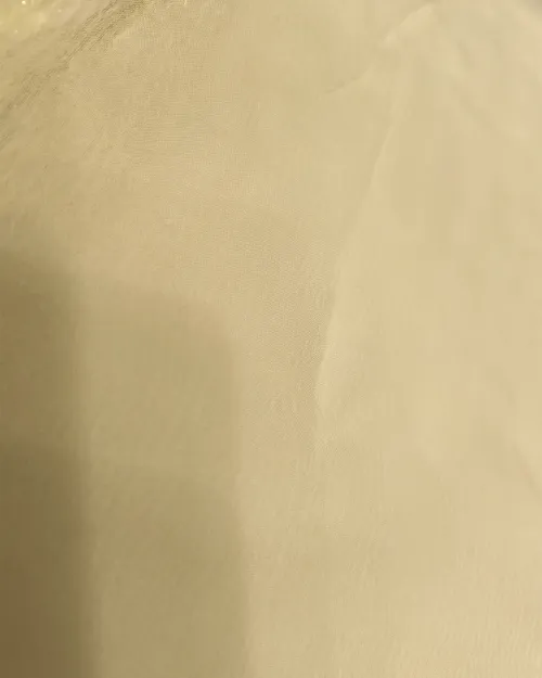 White Gota Patti Work Chiffon Saree