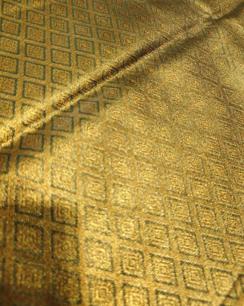 Light Green Kanchipuram Tissue Silk Saree