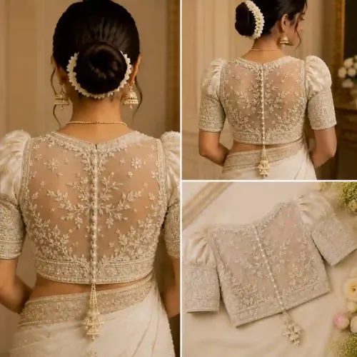 Sheer  Net Back Blouse Design